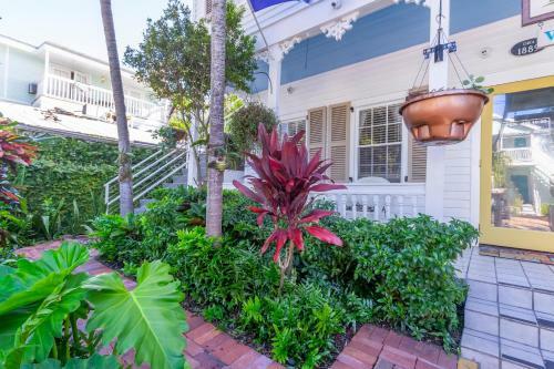 Bed & Breakfast Seascape Tropical Inn