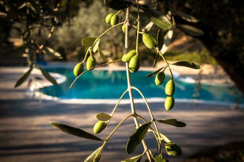 Agroturismo Villa Cilnia Relais & Spa