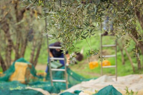 Agroturismo Villa Cilnia Relais & Spa