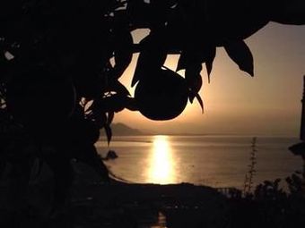 Bed & Breakfast Palazzo Suriano Relais De Charme