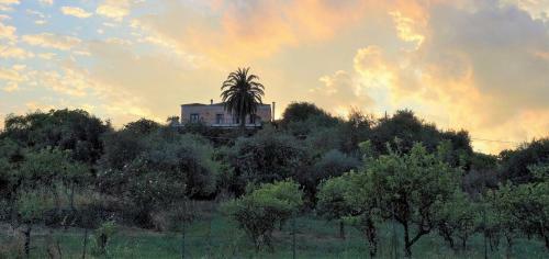 Agroturismo Antico Borgo Agriturismo