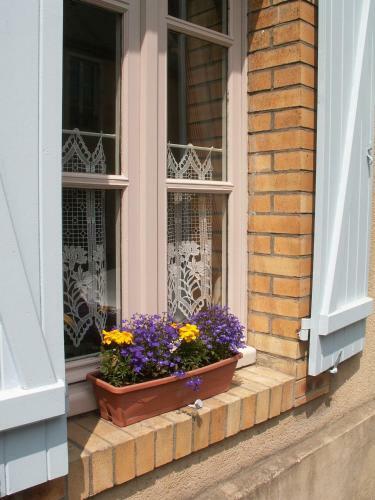 Bed & Breakfast Dodo Et Tartines