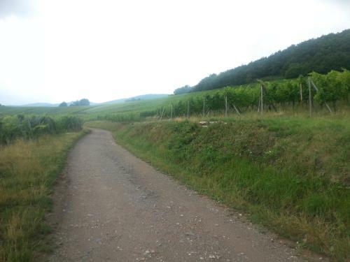 Bed & Breakfast Chez Yolande