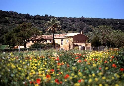 Agroturismo Finca Es Mayolet