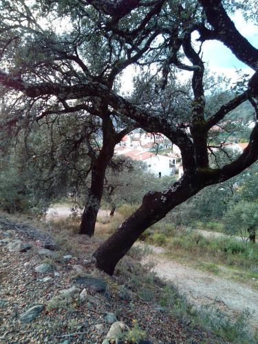 Agroturismo Casas Rurales Los Montes