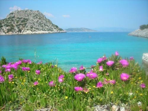 Aparthotel Hotel Boulas