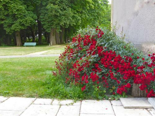 Hostal Maison D'h�tes Le Ch�teau De Puxe