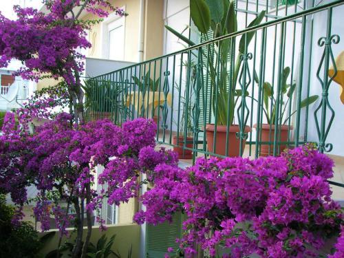 Hostal Aiolos House