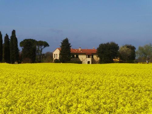Agroturismo Il Bosco Agriturismo