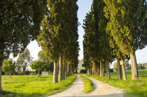 Agroturismo Il Bosco Agriturismo