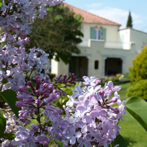 Bed & Breakfast Chambres D'h�tes Le Cartounier