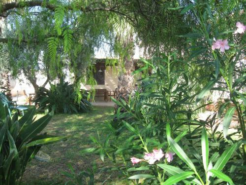 Apartamento Residence Ficomoro