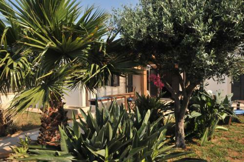 Apartamento Residence Ficomoro