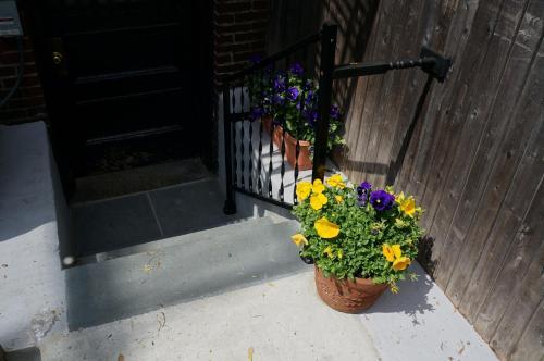 Hostal 463 Beacon Street Guest House