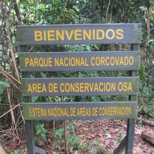 Sabalo Lodge