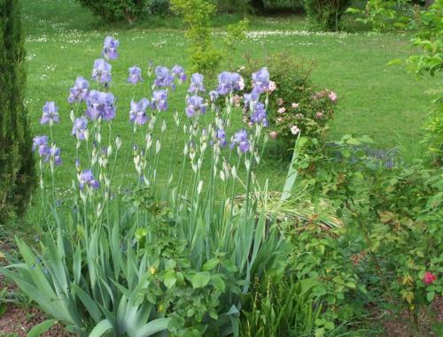Bed & Breakfast Chambre D'h�tes La Demeure D'architecte