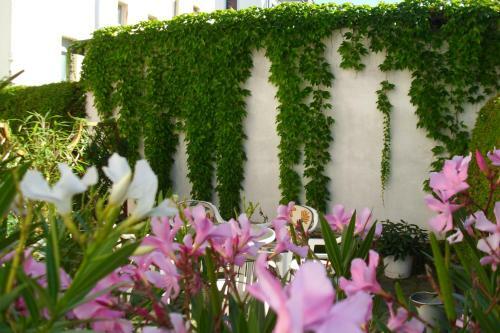 Hostal Pension Am Renner