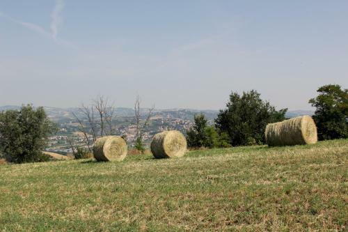 Agroturismo B&B Verdi Colline