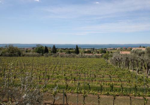 Apartamento Appartamenti Vignol 2