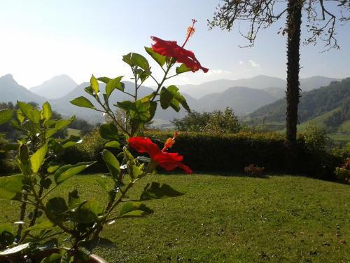Bed & Breakfast Chambres D'h�tes Maison Paillet