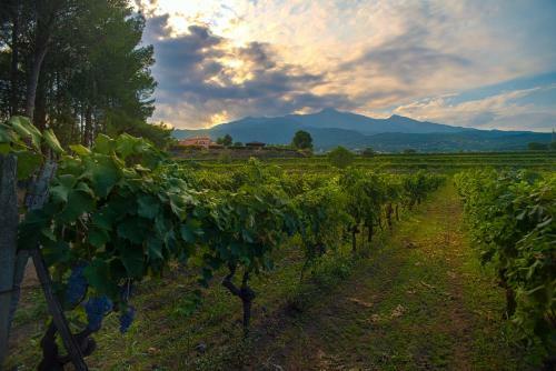 Agroturismo Tenuta San Michele