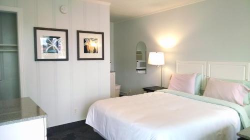Motel Murray Plaza Lodge