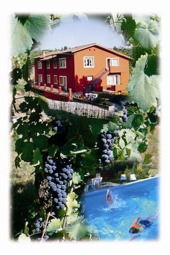 Agroturismo La Vignola