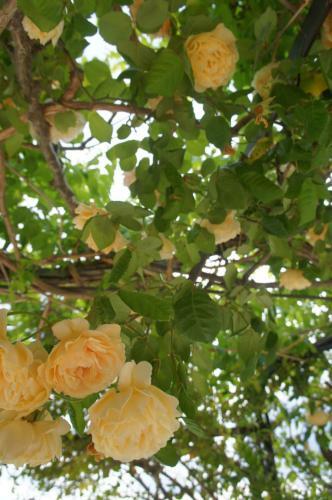 Villa "la Vie Est Belle...!"