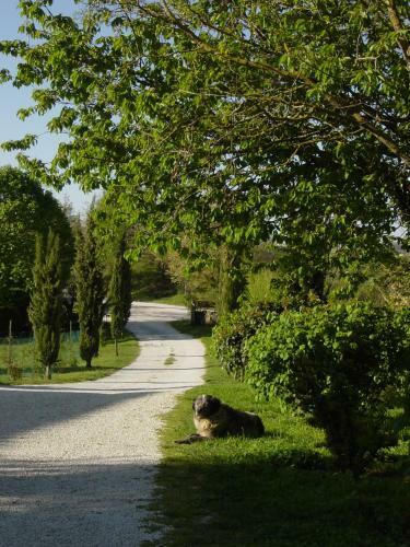Agroturismo Agriturismo Valdichiascio