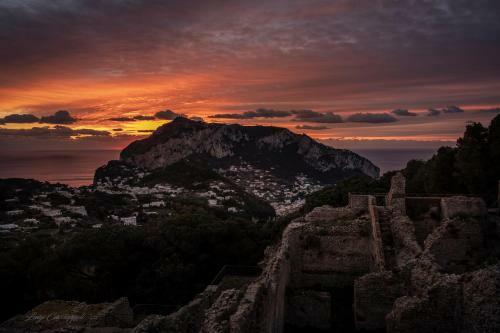 Hostal Fortino B&B Capri