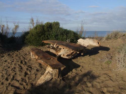 Apartamento Vacanze Toscane In The Country