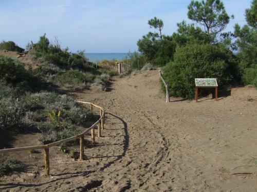 Apartamento Vacanze Toscane In The Country