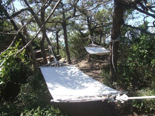 Apartamento Vacanze Toscane In The Country