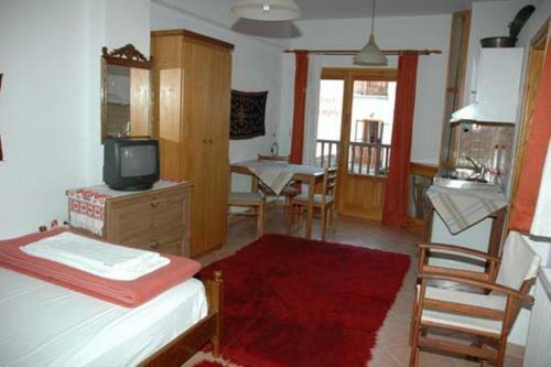 Hostal Arka Metsovo