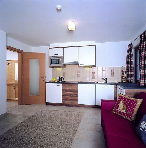Aparthotel Apartments Restaurant Rusctlea