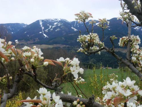 Apartamento Casa Erica