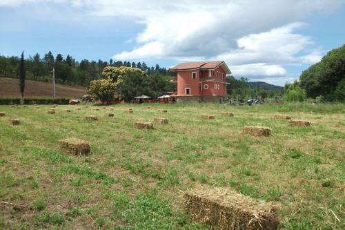 Agroturismo U' Cecere Agriturismo