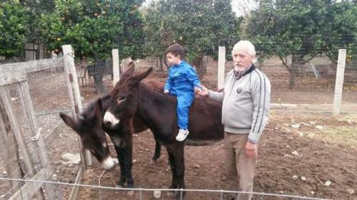 Agroturismo U' Cecere Agriturismo
