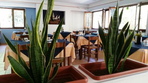 Apartamento Cala Blanca Resort