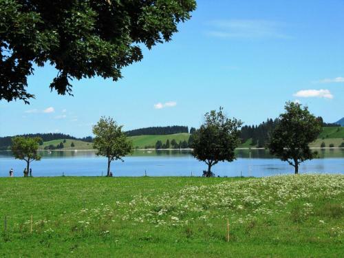 Hostal Gasthof Seeklause