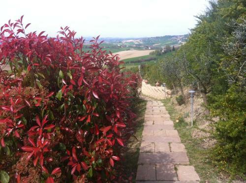 Agroturismo Relais Il Margarito