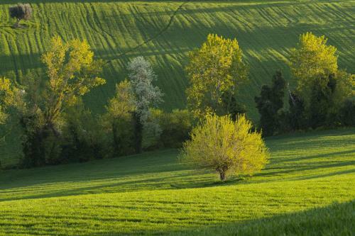 Agroturismo Relais Il Margarito