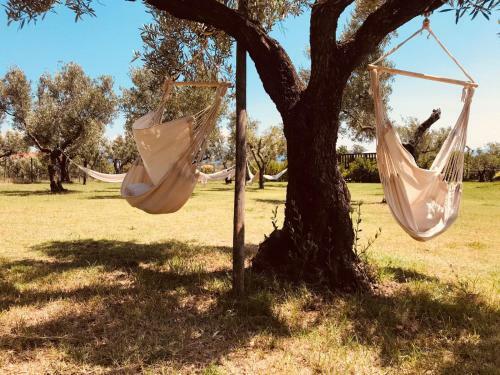 Agroturismo Agriturismo Masseria I Risi