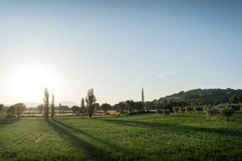 Bed & Breakfast Al Pian D'assisi