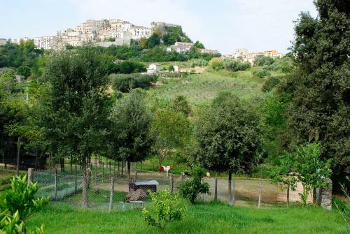 Agroturismo Agriturismo L'arca Di Anna Brambilla