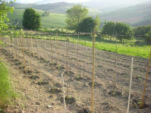 Agroturismo C'era UNA Volta