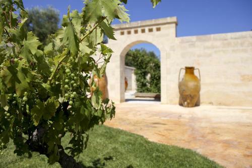 Agroturismo Masseria Ancella