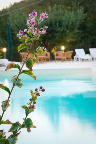 Agroturismo Agriturismo Ca' Montioni