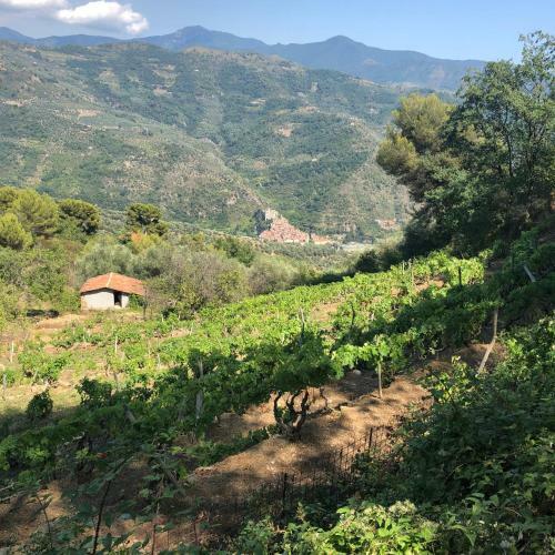 Apartamento Casa Vacanze Bungalow I Girasoli