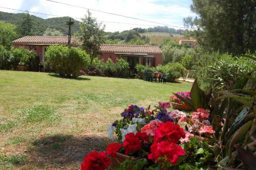 Hostal Agriturismo L'aglientu B&B